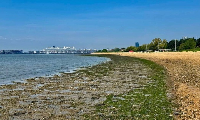 Netley Apartment | Cruise, Relax, Explore. 2BR Free parking. 10minutes to city & cruise port. 5*