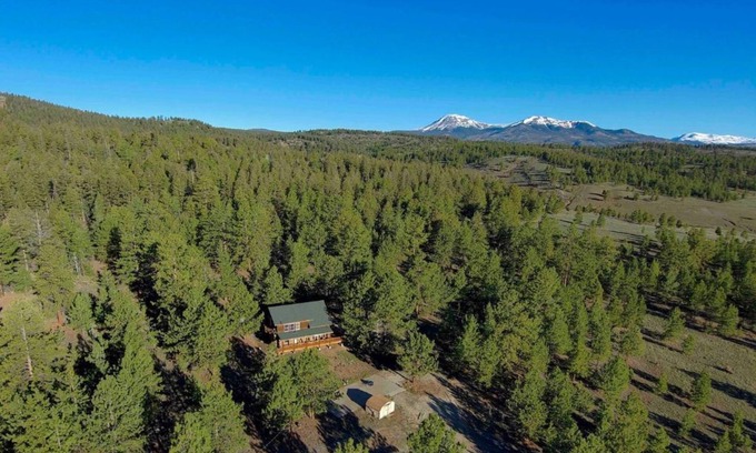 Hartsel Cabin | Custom log cabin tucked away in private forest