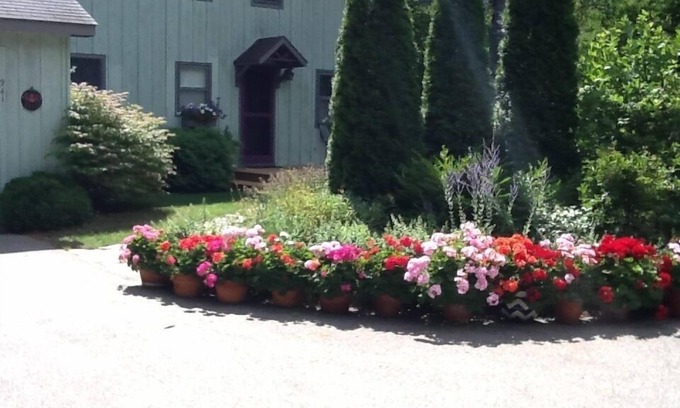 Leland House | Cute, quiet, sun filled home steps from everything that's great about Leland.