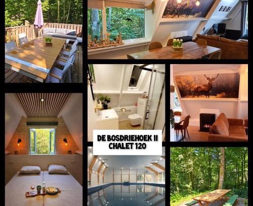 Bohon Ski Chalet | de bosdriehoek II