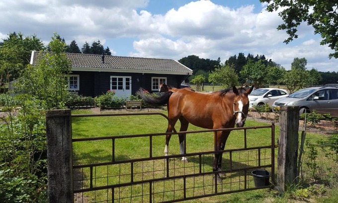 Laag-Soeren Bed & Breakfast | De Priesnitzhoeve