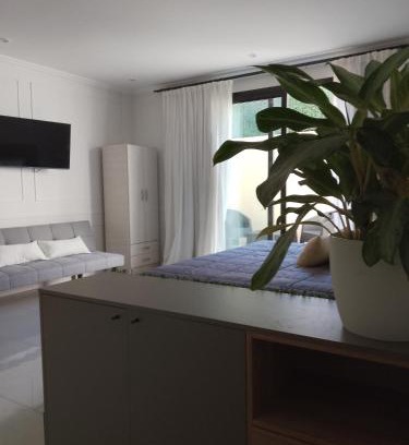 Gualeguaychu Apartment | Departamento monoambiente "Pellegrini' en el centro