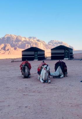 Wadi Rum Other | Desert guide camp