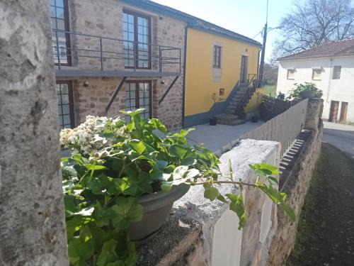 Coimbra House | DF Alojamentos e suites