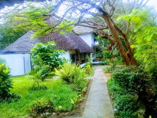 Diani Beach House | Diani Banda Cottages