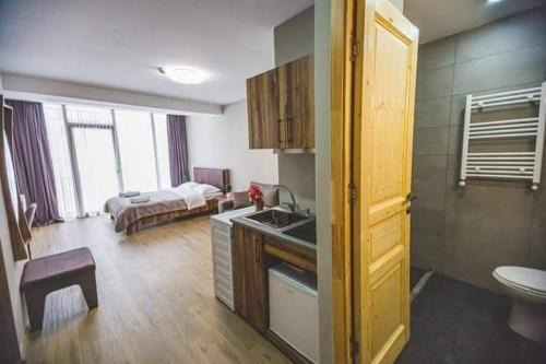 Bakuriani Hotel | Didveli Gallery B-211