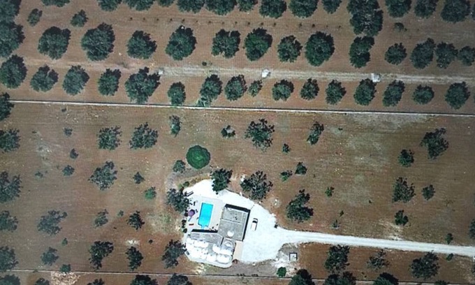 Francavilla Fontana Villa | Dimora 13 - an oasis of tranquility among the olive trees