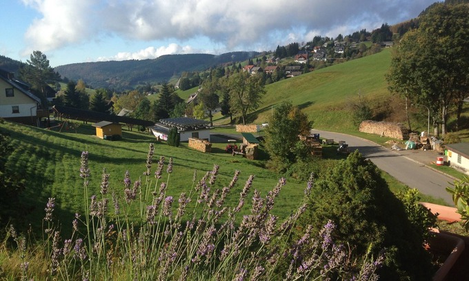 Todtnau Apartment | Directly on the ski lift, fireplace, open kitchen, south-facing terrace with views, like with dog