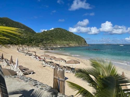 Anse Marcel Apartment | DOLCE RIVIERA