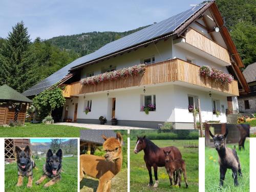 Bohinj Apartment | Domačija Loncnar