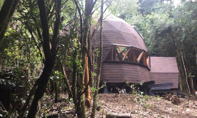 Panguipulli Apartment | Domos Hijos del Bosque