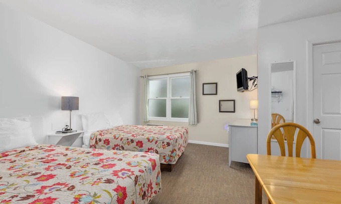 Lake City Apartment | Double Bed Suite with Full Kitchen