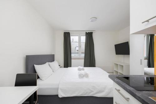 Sihlfeld Apartment | Downtown Deluxe Studio with Queen Bed BE-55
