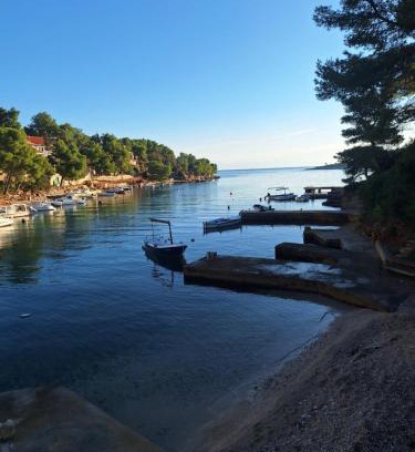 Cove Basina (Jelsa) Apartment | Dragana