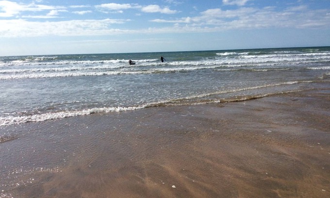 Bude Cottage | Driftwood
