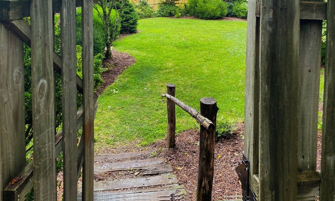 Pisgah Forest Cottage | Easy access to adventure at creekside retreat.