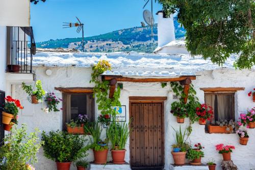 Capileira House | El Gato Negro