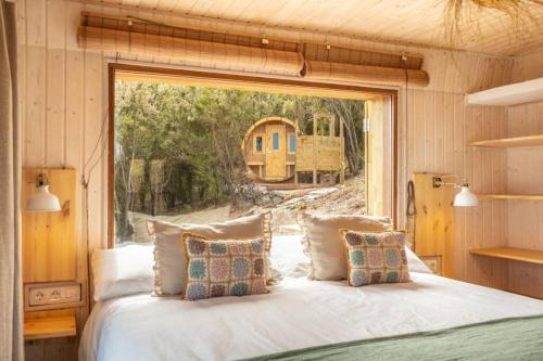 La Orotava Villa | El Pino Centenario 3