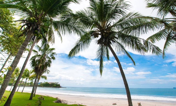 Playa Flamingo Condo | Elegant 3BR Beachfront Condo with Spacious Interior, Ocean-View Terrace & Direct Access to Playa Flamingo