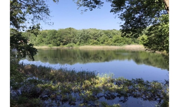 Saunderstown House | Enjoy the deck with pond view! Great Location, Rt 1A. 4 BR-all Queens, 2.5 Bath