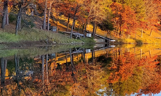 Pillager Resort | Enjoy the Fall Colors "Lily Pad" cabin