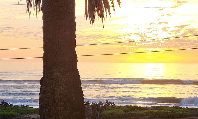 Ormond-by-the-Sea Condo | Enjoy your beach adventure, in a cozy ocean-front condo at Ormond-by-the-Sea.