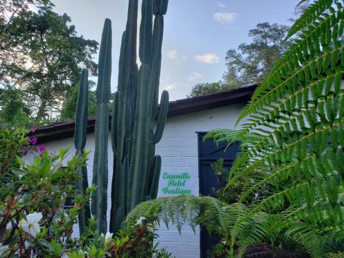 Rionegro House | Ensenillo Hotel Boutique