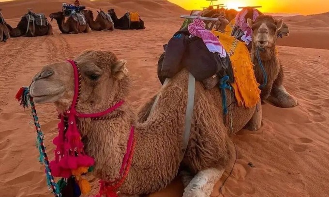 Taouz Bed & Breakfast | Erg Chebbi Dunes Desert Camp