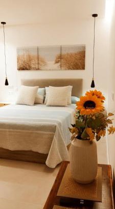San Cristobal de La Laguna Apartment | Estudio centro de La Laguna