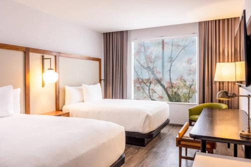 Downtown Cancun Hotel | Fairfield by Marriott Inn & Suites Cancun Downtown