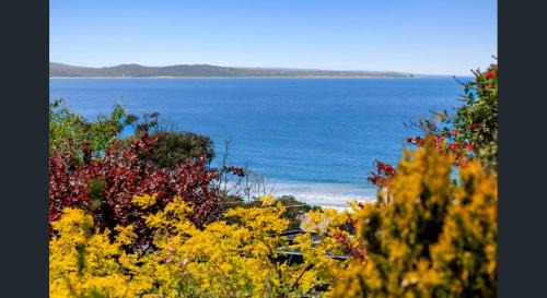 Lorne House | Fairview Central With A View