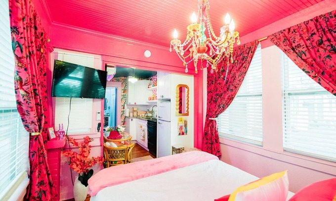Historic Old Northeast Apartment | Fall Deals The Twisted Tulip, a curious stay