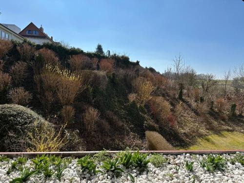 Bad Lauterberg Apartment | Ferienbutze Harz Drachenperle