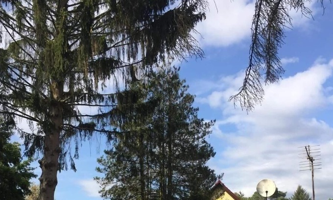 Oberhavel House | Ferienhaus für 2 Gäste mit 40m² in Oranienburg