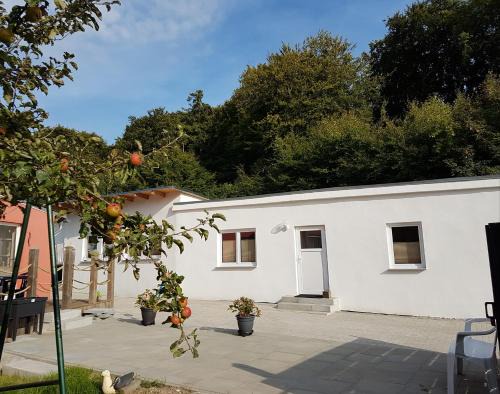 Sassnitz Apartment | Ferienwohnung Benno