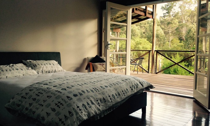 Carlotta House | Forest Redtail Retreat