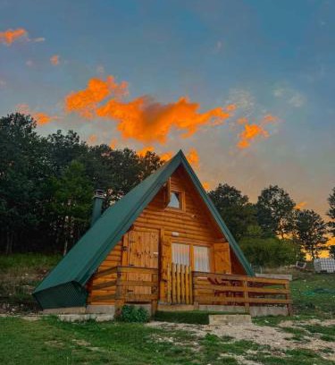 Pluzine Ski Chalet | Forest rest