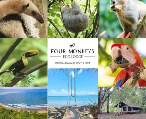 Puerto Jimenez Cabin | Four Monkeys Eco Lodge - Jungle & Beach