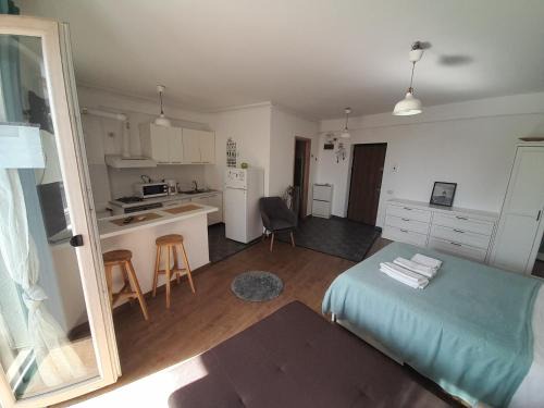 Sector 2 Apartment | Fundeni - Garsoniere - langa spital