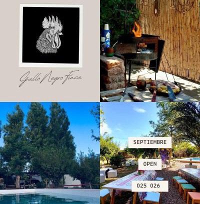San Juan House | GalloNegro