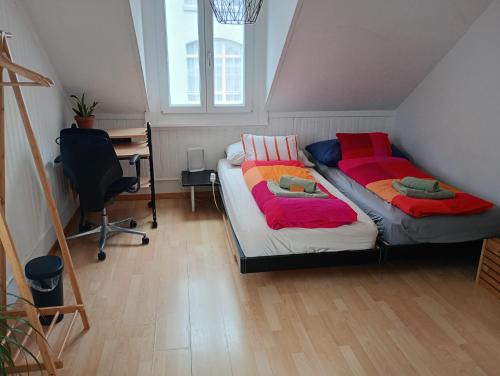 St. Gallen House | Gemütliches Dach-Zimmer