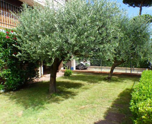 Tirrenia Apartment | Girasoli
