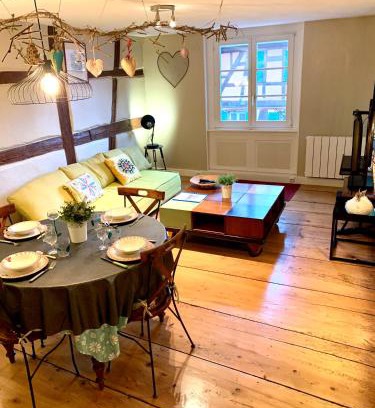 Riquewihr Apartment | Gite "Au coeur de Riquewihr - vue sur le vignoble" à Riquewihr