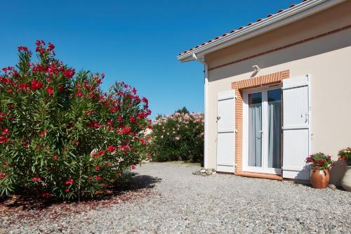 La Salvetat-Saint-Gilles Apartment | Gite Studio Le Colibri