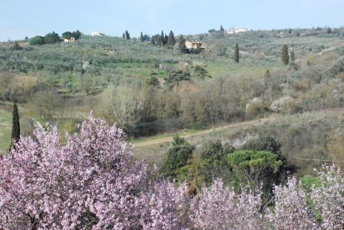 Lastra a Signa House | Gli Oleandri di Belfiore
