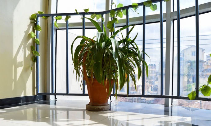 Kikowani Hotel | Global Palace Hotel