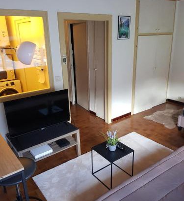 Marnaz Apartment | grand studio dans une résidence prive avec une cuisine et salle de bain séparé un parking gratuit et une magnifique vue sur les montagness
