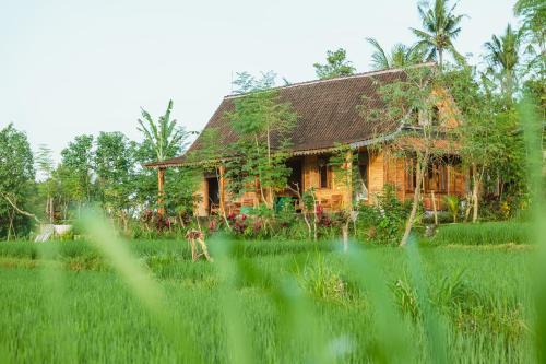Sidemen House | Green vanilla kabin