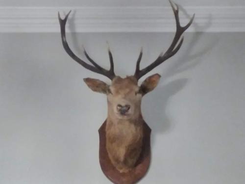 Hunspow Bed & Breakfast | Greenland House B&B