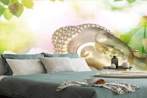 Klettenberg Apartment | GreenOasis - Gepflegte & gemütliche Wohnung in bester Innenstadt Lage -